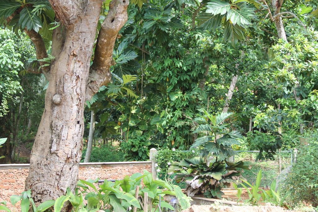 Siriniwasa Luxury Villa With Private Pool Induruwa Bagian luar foto